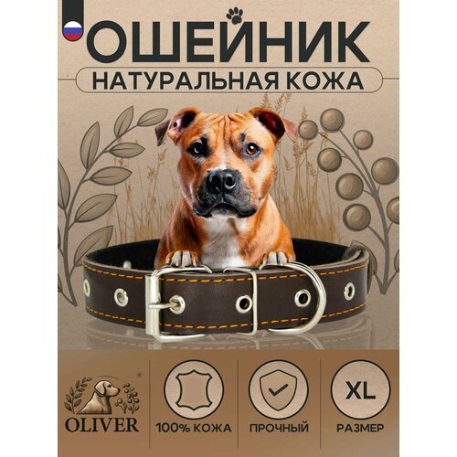 Ошейник для собак Oliver из натуральной кожи на мягкой подкладке из синтепона / XL / Коричневый
