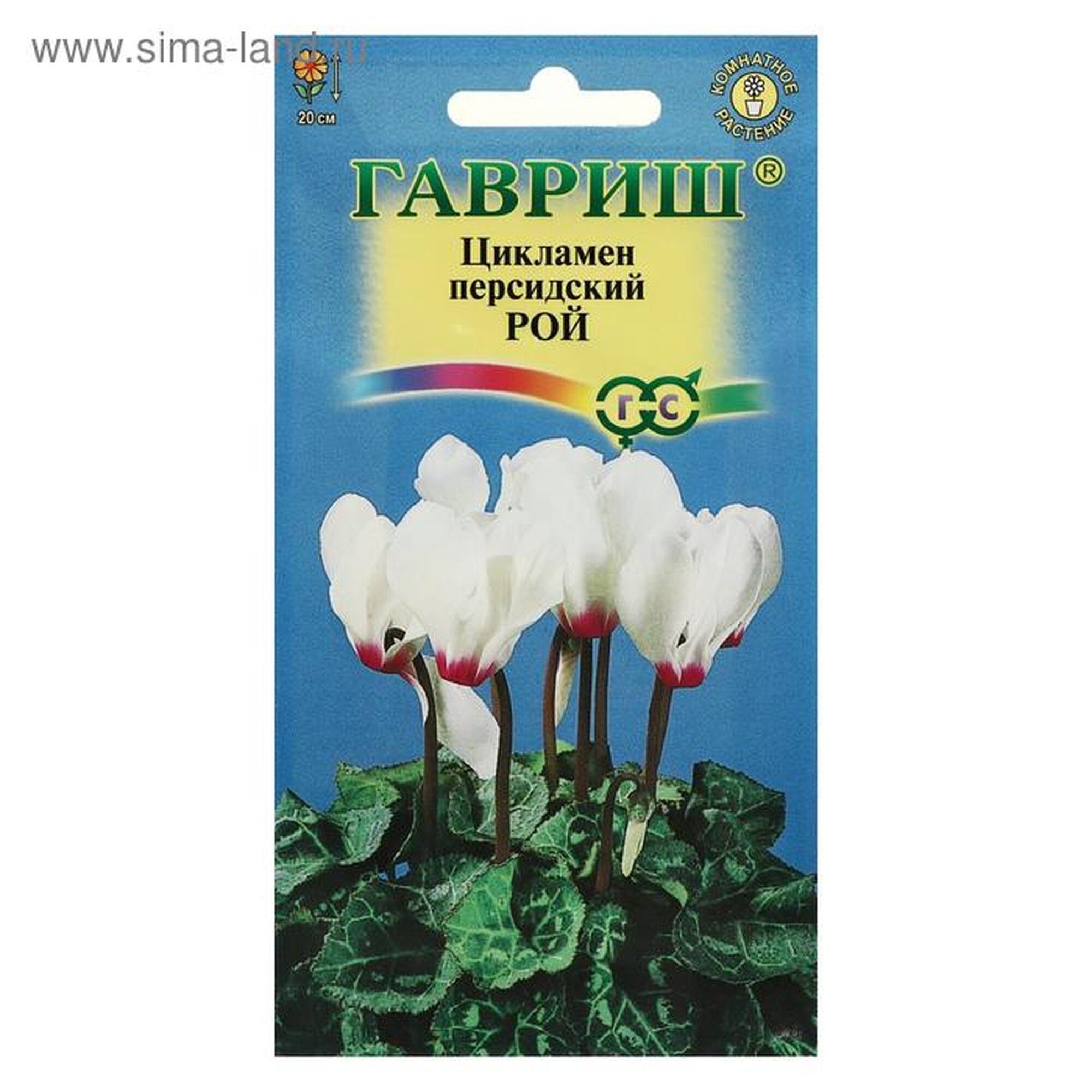Семена цветов Цикламен 