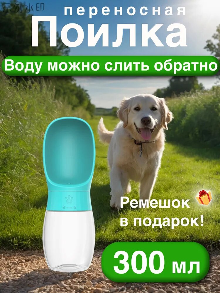 Голубой