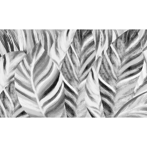 Моющиеся виниловые фотообои Фон банановые листья черно-белые, 420х250 см