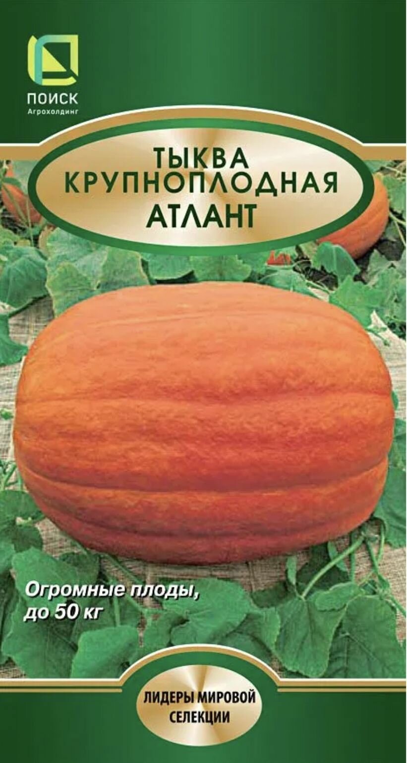 Тыква крупноплодная атлант 1 пакет семена 5 шт Агрохолдинг поиск гигантские плоды