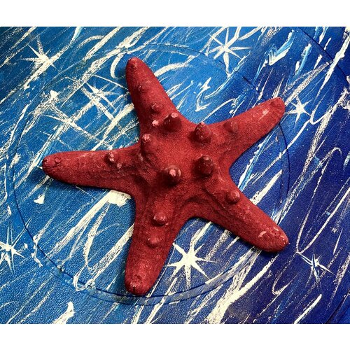 сушеные звезды рыба морская звезда пляжное ремесло свадебное украшение для дома подарок морская звезда Звезда морская