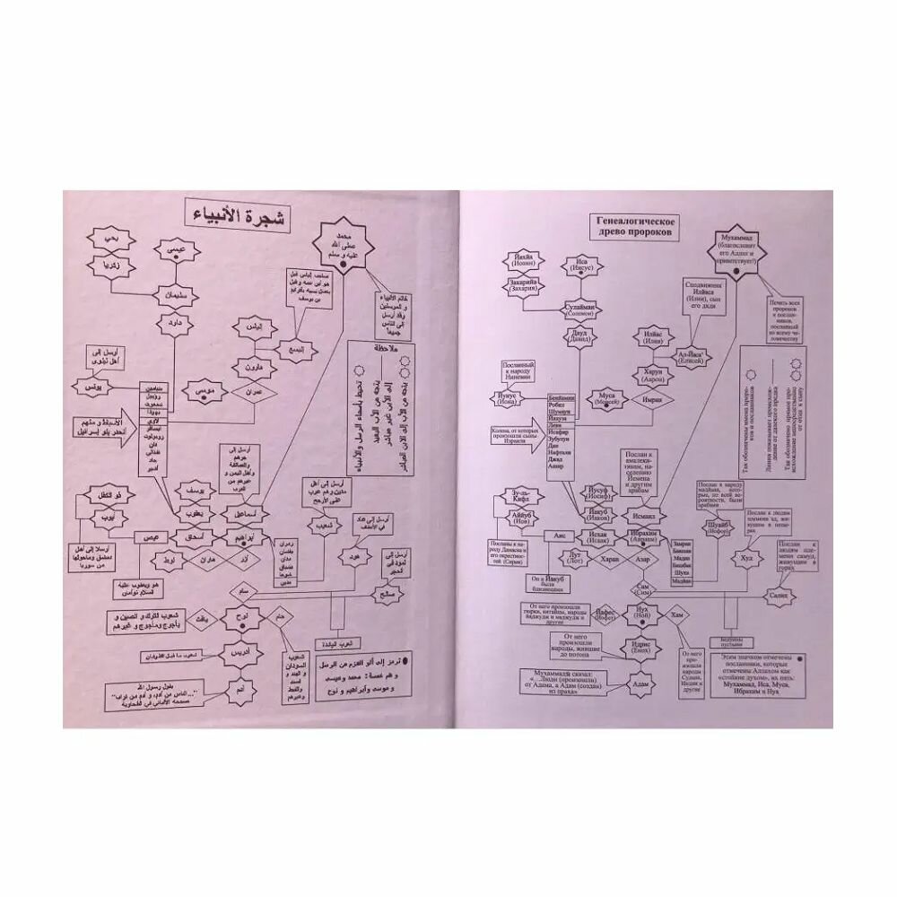 Книга Истории о пророках. От Адама до Мухаммада. Со слов Ибн Касира - фото №5