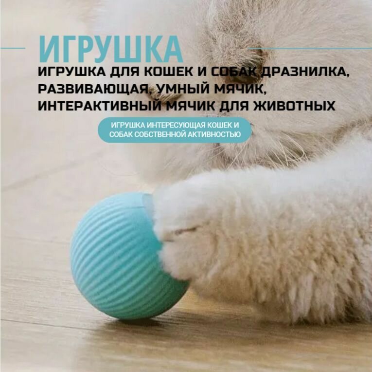 Игрушка для кошек и собак дразнилка, развивающая, умный мячик, интерактивный мячик для животных