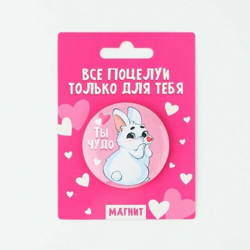 Магнит закатной Ты чудо диам 5 см 420₽