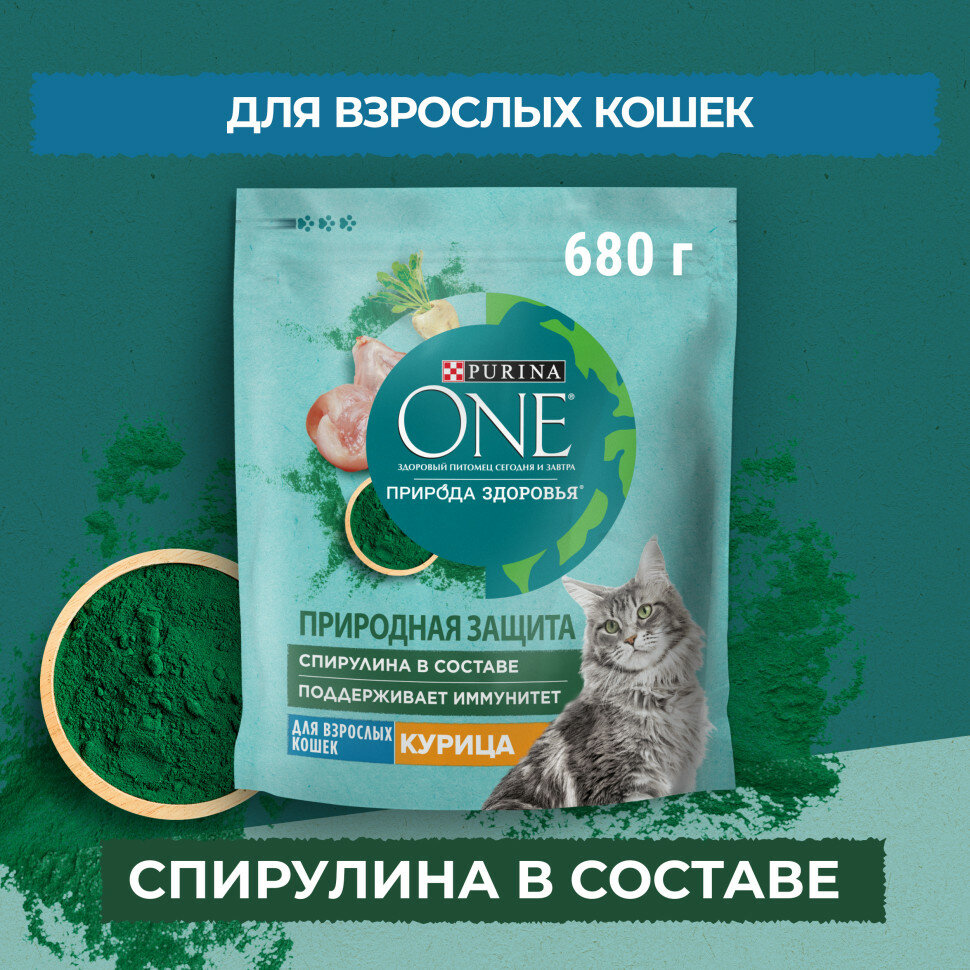 Сухой корм Purina ONE для взрослых кошек, с высоким содержанием курицы, 680гр - фото №5