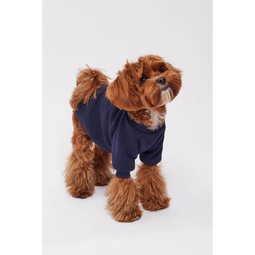 Свитшот для собак темно-синий XL