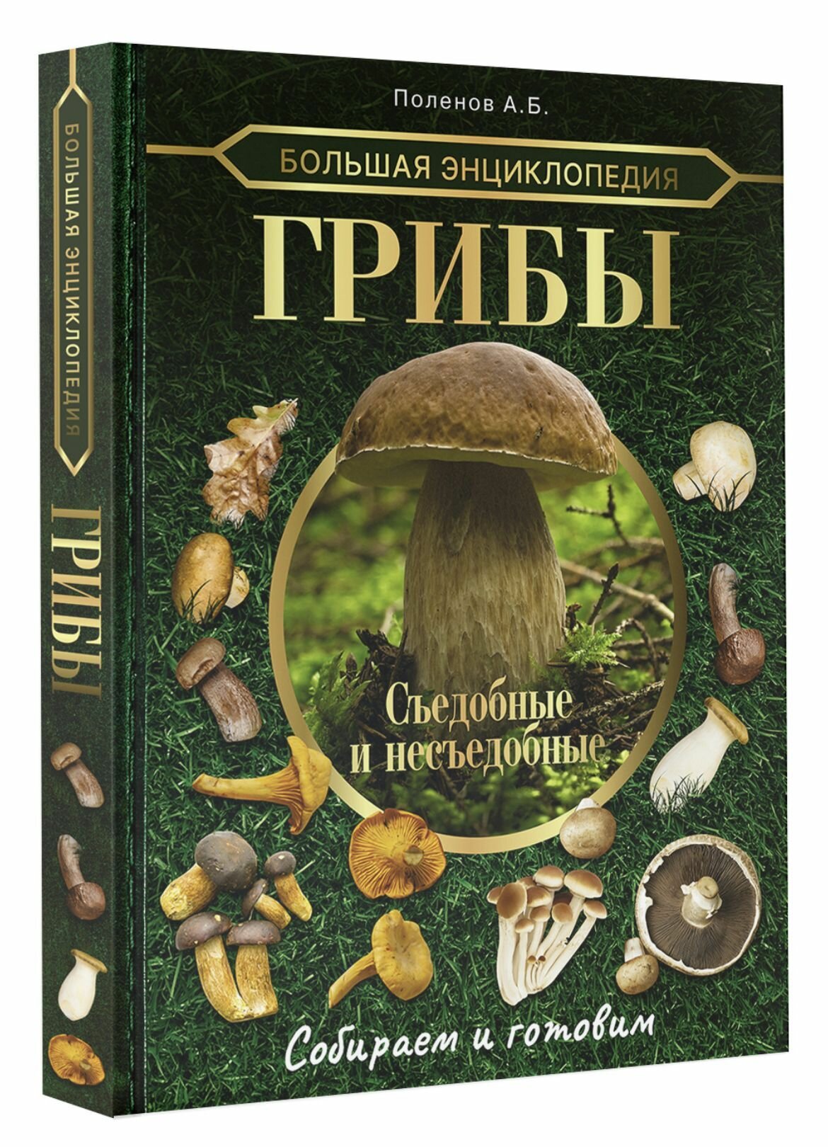 Большая энциклопедия. Грибы. Съедобные и несъедобные. Собираем и готовим.