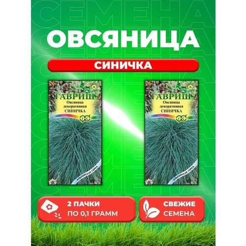 Овсяница Синичка, декоративная (сизая ледниковая) 0,1г (2уп) овсяница ледниковая синичка 0 1 г альпийская горка