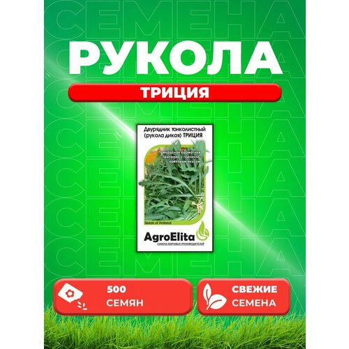 Двурядник тонколистный (Рукола дикая) Триция, 500шт семена двурядник тонколистный рукола триция 0 5 г