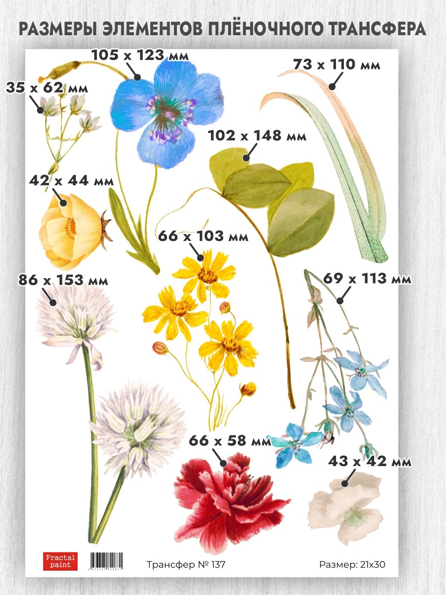 Трансфер для декупажа переводной рисунок для поверхностей 137 (А4)