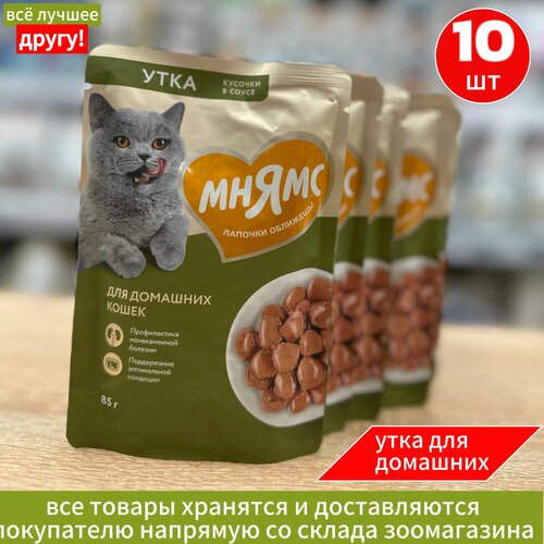 Влажный корм Мнямс Кусочки в соусе для домашних кошек, с уткой, 85г х 10шт