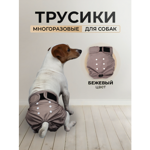 Многоразовые трусы для собак при течке, XL, бежевые