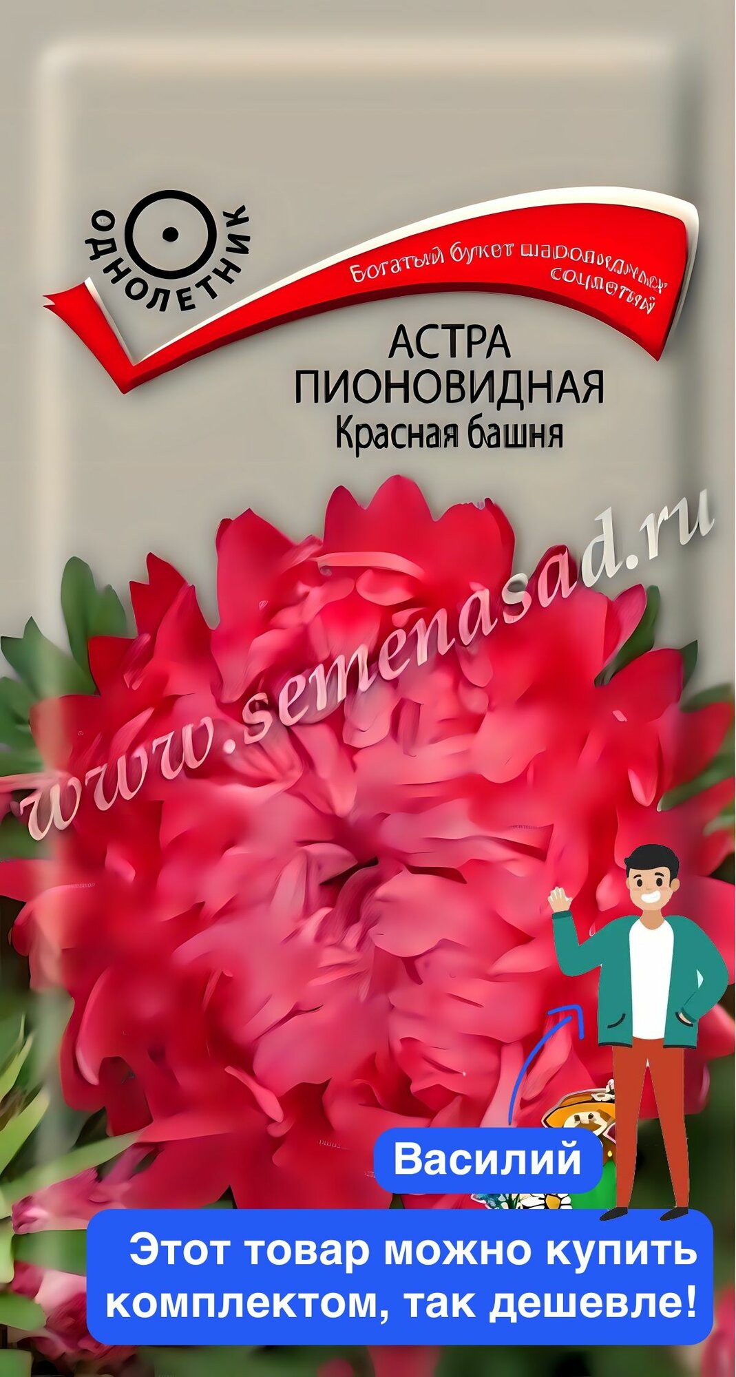 Семена цветов Поиск 