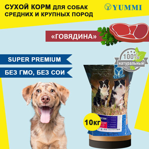 Сухой корм для собак премиум класса YUMMI Юмми Говядина 10 кг 4000₽