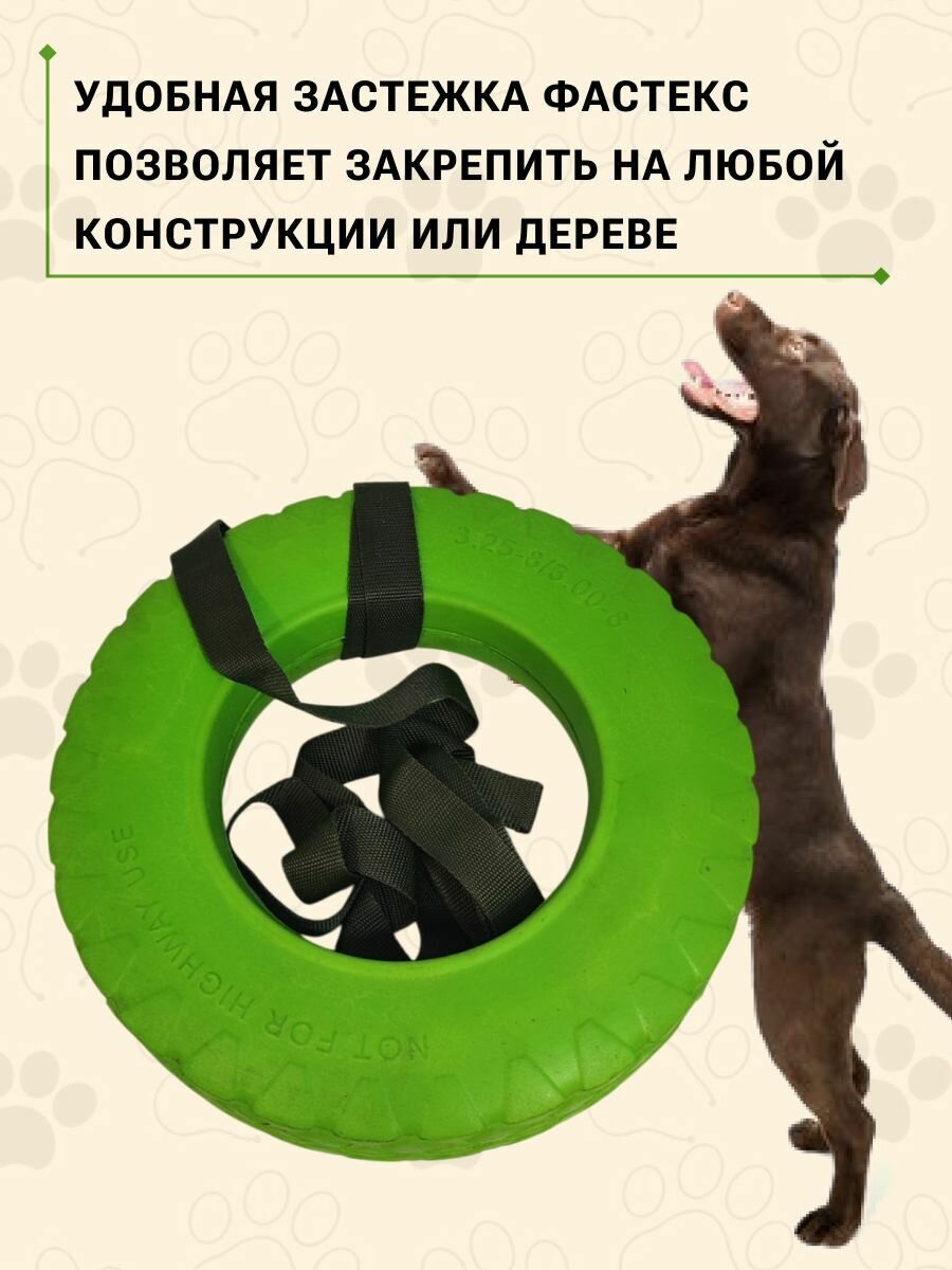Игрушка пуллер Колесник "Кольцо", для собак, тренировочная, цвет салатовый — фото 1