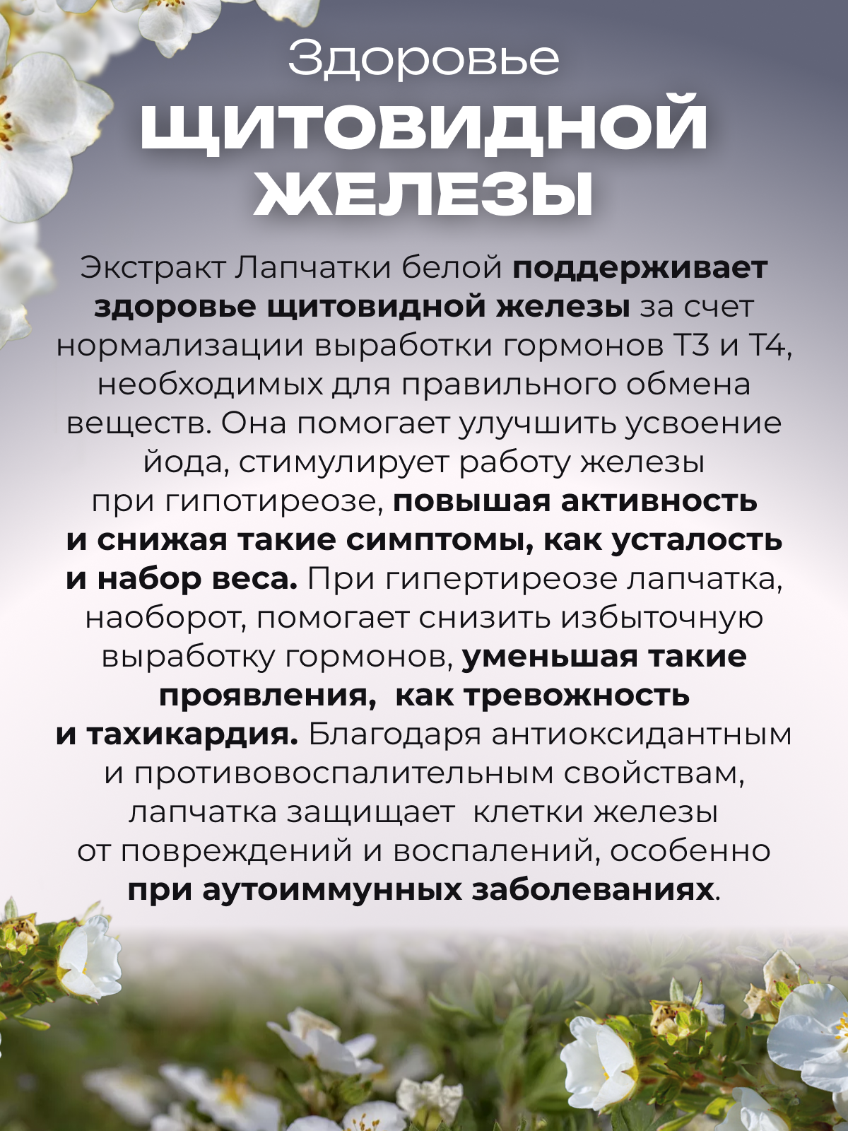 Препараты От Гипертиреоза Лапчатка белая в капсулах для щитовидной железы