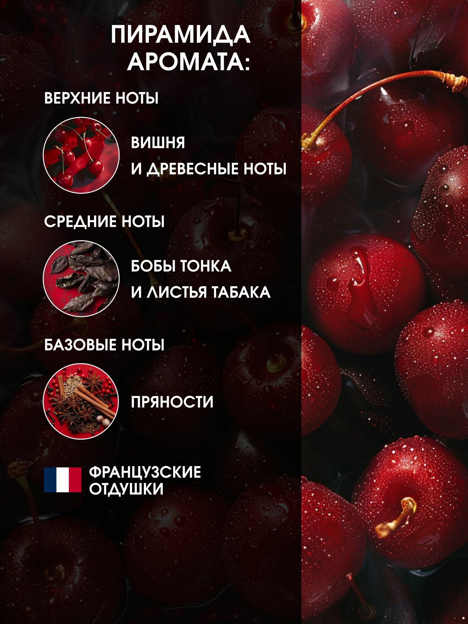 Пена для ванн La Fabrique парфюмированная с ароматом табак-вишня, 500 мл — фото 1