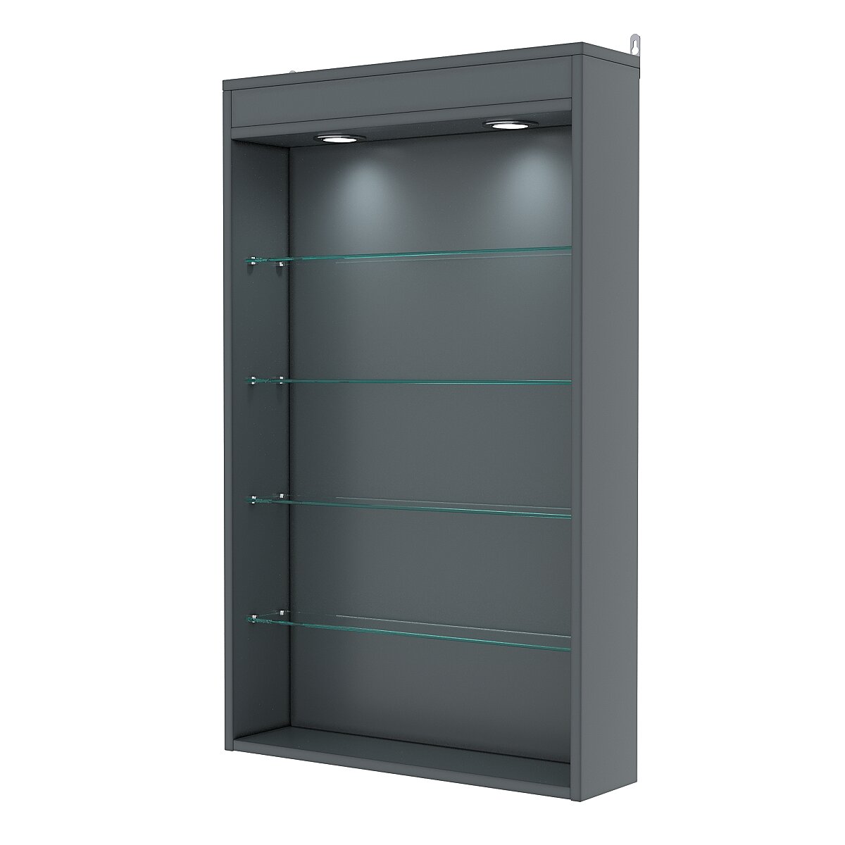 Витрина настенная №2-3Г с подсветкой, Темно-Серый. Производитель товара - компания Westcom.