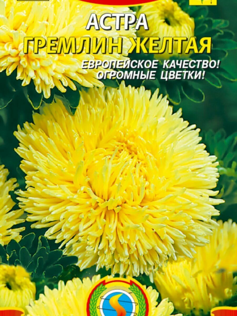 Семена Астра Гремлин желтая 02 гр Плазменные семена
