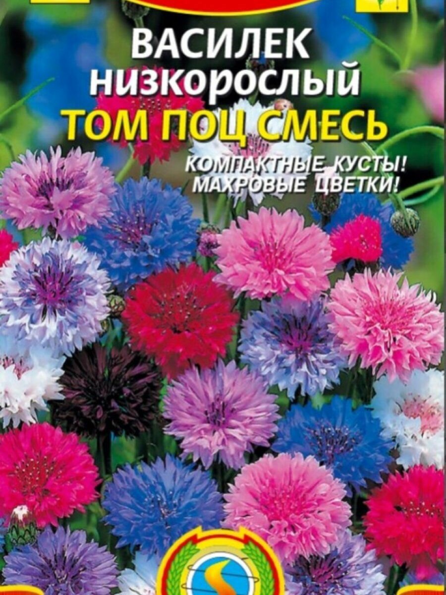 Семена Василек Том Поц, смесь низкорослая 0,2 гр Плазменные семена