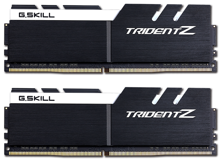 Оперативная память G.skill DDR4 16Gb (2x8Gb) 3200MHz pc-25600 Trident Z Black-White (F4-3200C16D-16GTZKW)