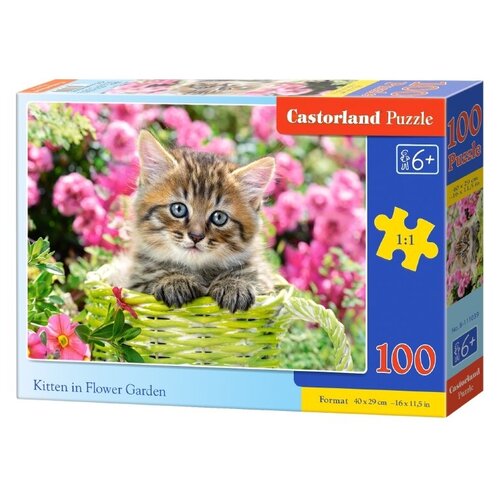 Пазл Castorland Котенок в саду (B-111039), 100 дет., разноцветный puzzle 1000 дом у ручья castorland