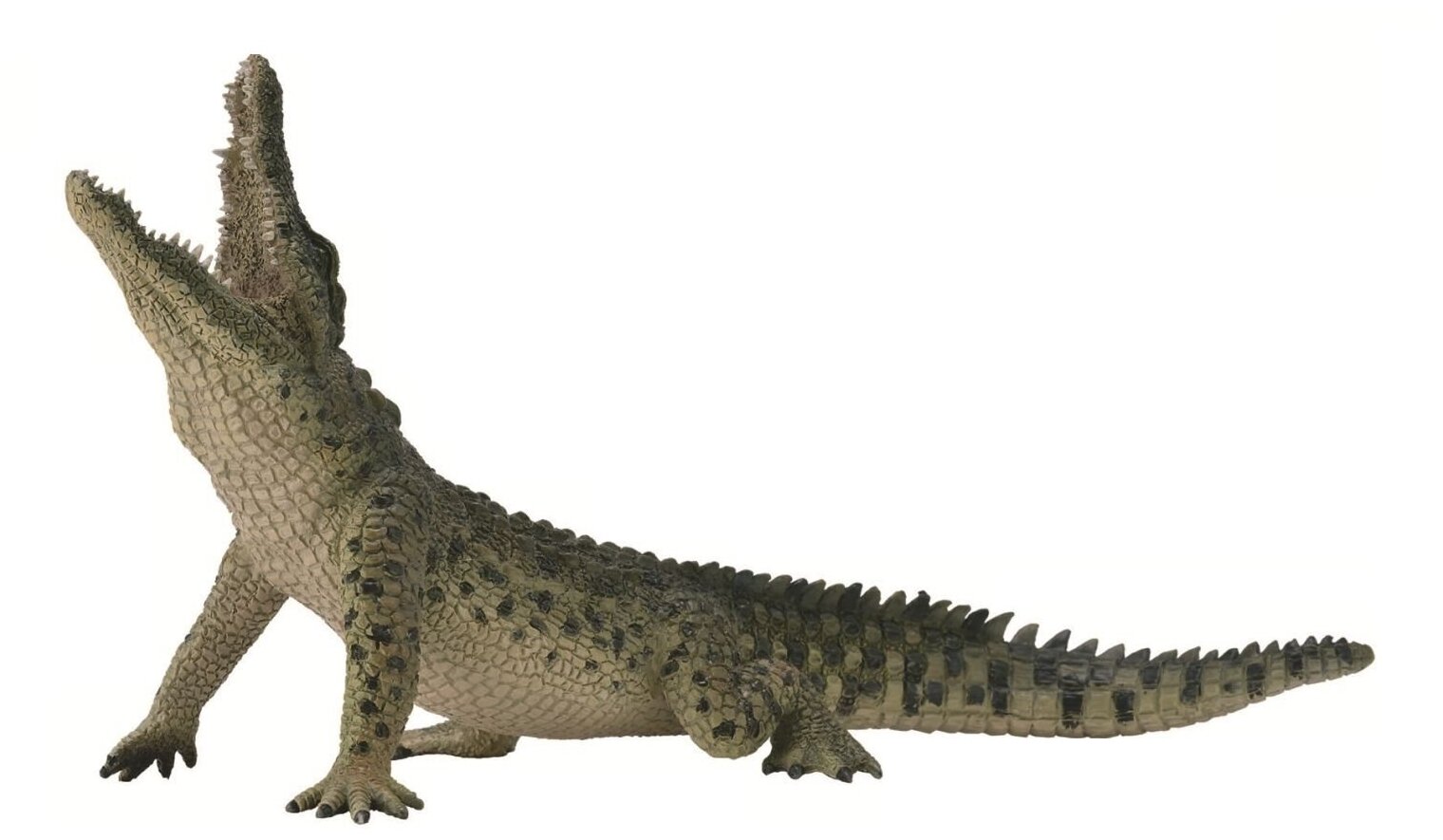 Фигурка Collecta Нильский крокодил 18 см - фото №11