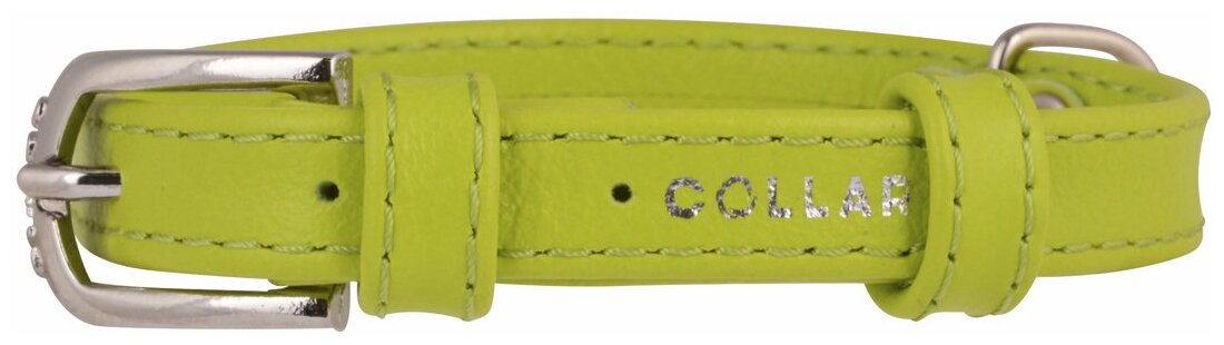 Ошейник кожаный для собак без украшений зеленый 12 мм 21 – 29 см Collar WauDog Glamour (1 шт)