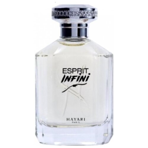 Hayari Parfums туалетная вода Esprit Infini, 70 мл caron парфюмерная вода infini 2018 100 мл