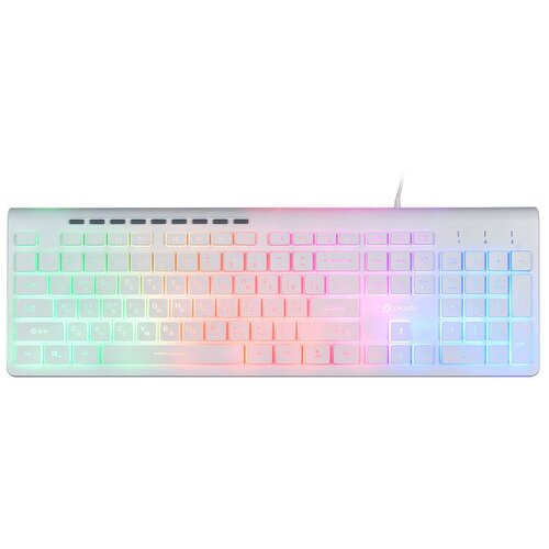 Клавиатура OKLICK 490ML Multimedia Keyboard White USB белый