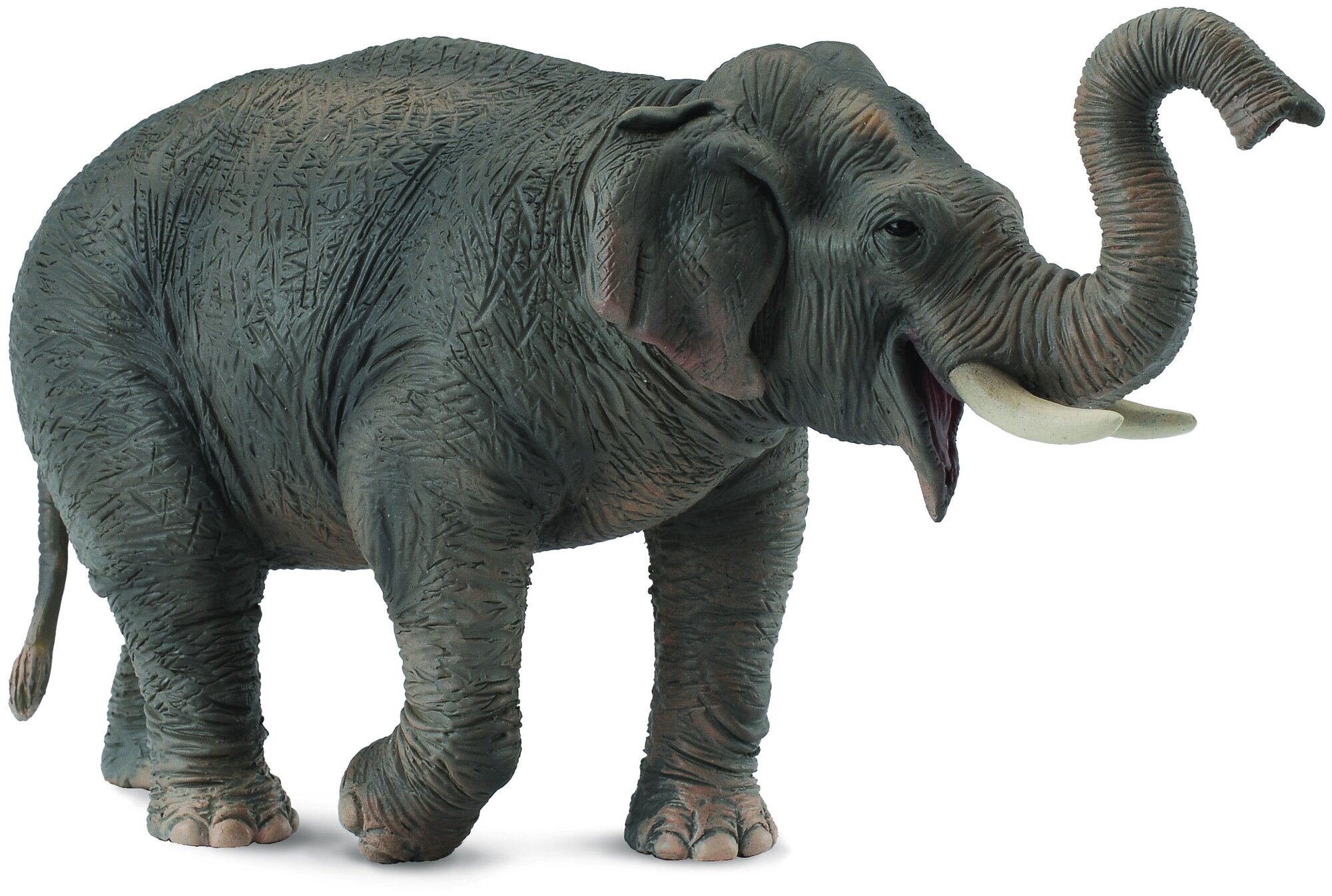Фигурка Collecta Азиатский слон, XL - фото №8