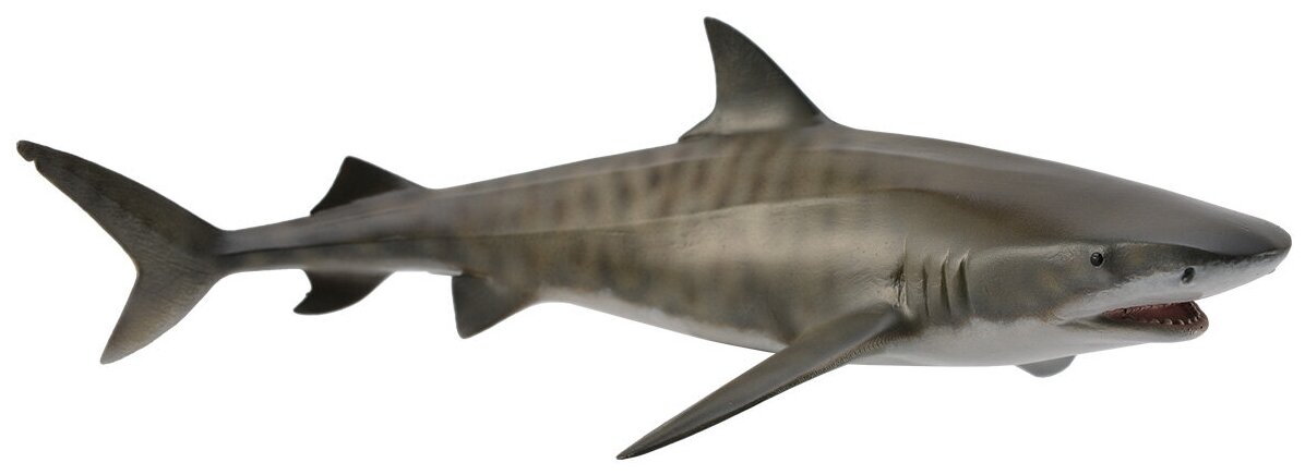 Фигурка Collecta Тигровая акула 16.5 см - фото №8