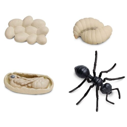 фото Игровой набор safari ltd жизненный цикл муравья 663916