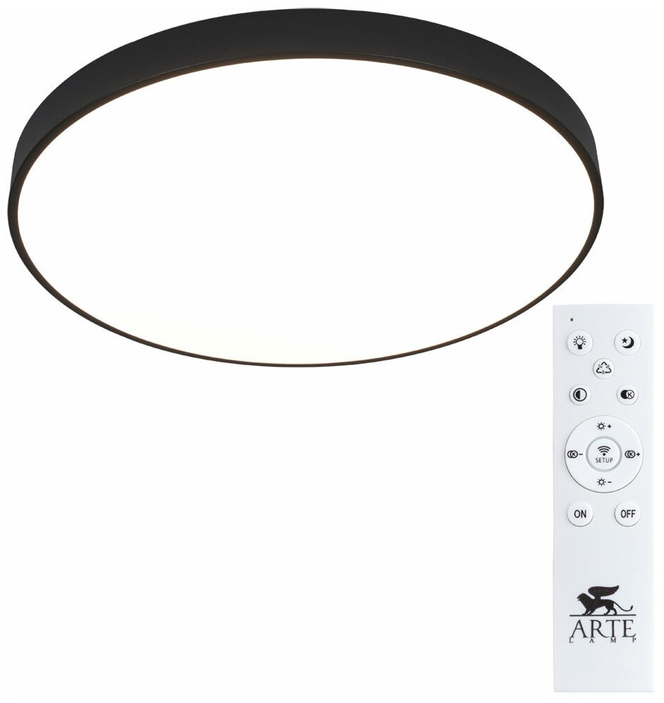 Потолочный светильник Arte Lamp Arena A2673PL-1BK