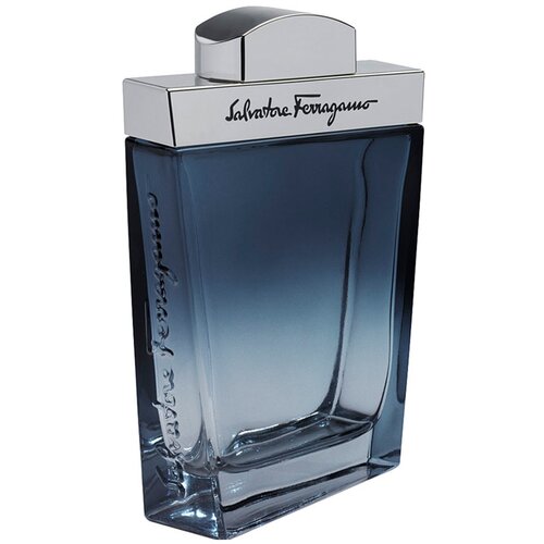 Salvatore Ferragamo туалетная вода Subtil pour Homme, 50 мл, 250 г