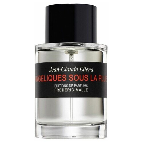 Frederic Malle туалетная вода Angeliques sous la Pluie, 100 мл frederic malle angéliques sous la pluie парфюмированная вода 50мл