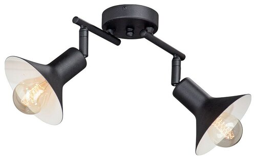 Потолочный светильник Vitaluce V4808, E27, 80 Вт, кол-во ламп: 2 шт., цвет: черный