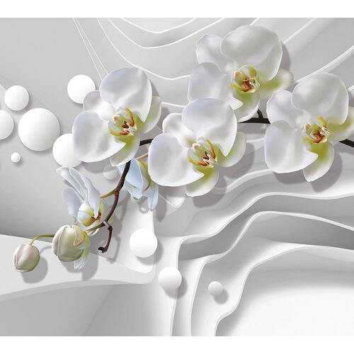 Моющиеся виниловые фотообои GrandPiK Белая орхидея и ломаные линии 3D черно-белое, 300х270 см моющиеся виниловые фотообои grandpik белая орхидея и ломаные линии 3d черно белое 380х270 см