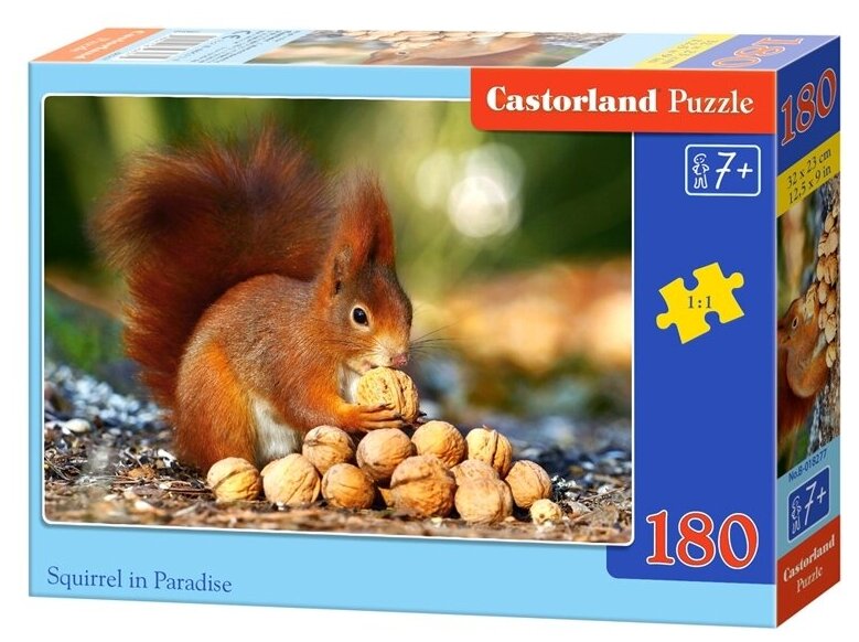 Пазл Castorland Squirrel in Paradise (B-018277), 180 дет.