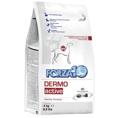 Сухой корм для собак Forza10 Active, при дерматологических заболеваниях 1 уп. х 1 шт. х 4 кг