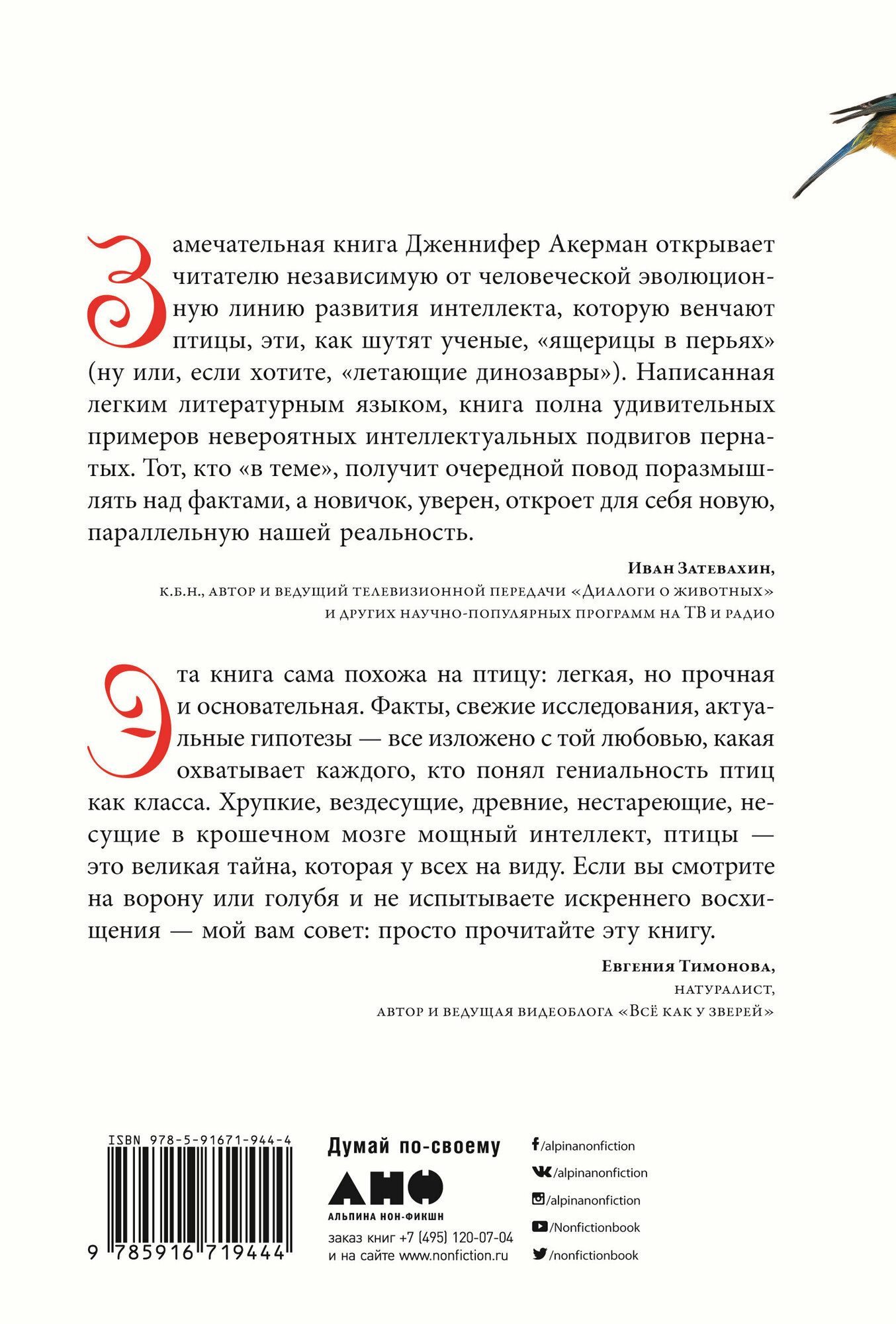 Эти гениальные птицы (Акерман Дженнифер) - фото №5
