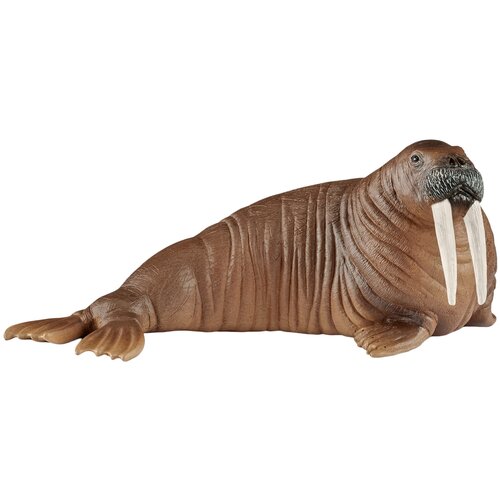 Фигурка Schleich Морж 14803, 5.1 см