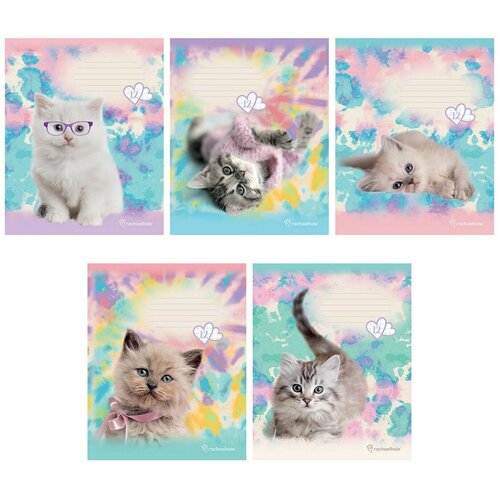 Тетрадь 12л, А5, клетка, на скрепке, обложка картон, Rachael Hale , RH65/5, Academy Style, 20шт.