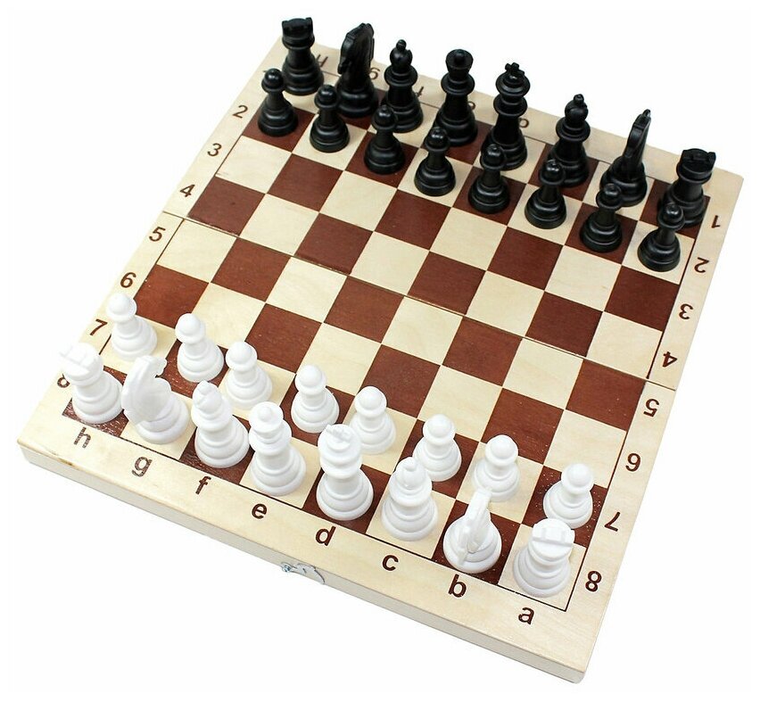 Игра настольная Десятое королевство ("Шахматы и шашки" (деревянная коробка, пласт.фигуры, поле 29х29см))