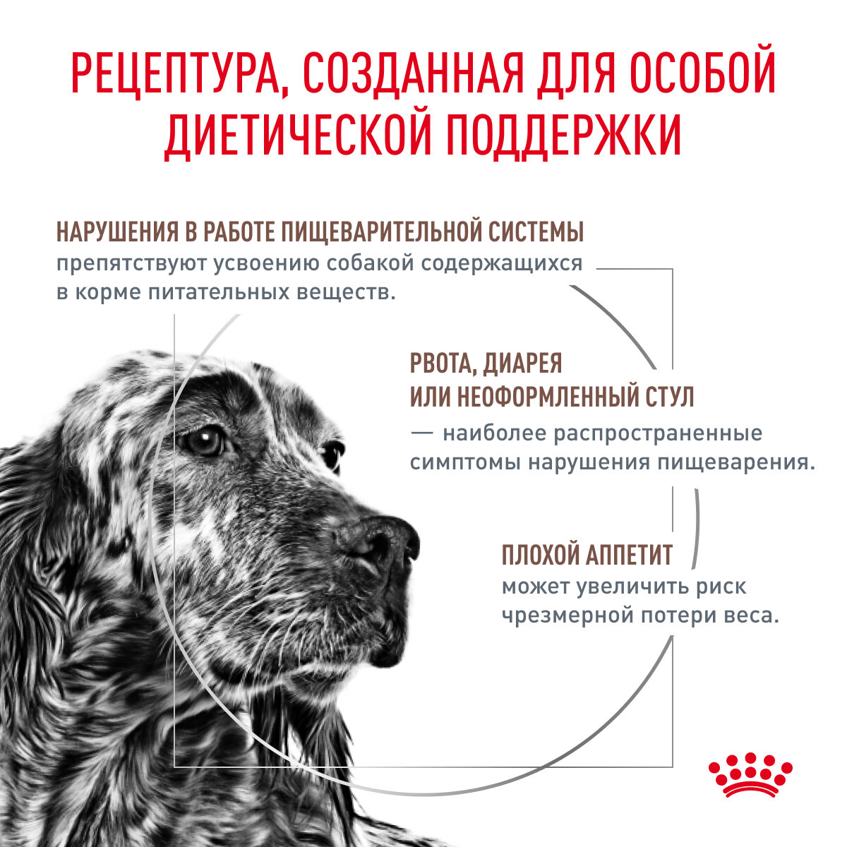 Сухой диетический корм Royal Canin Veterinary Diet Gastro Intestinal для взрослых собак при нарушениях пищеварения, 2кг - фото №3