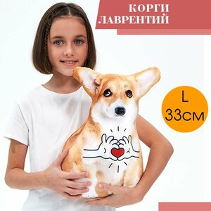 Основная фотография от вендора