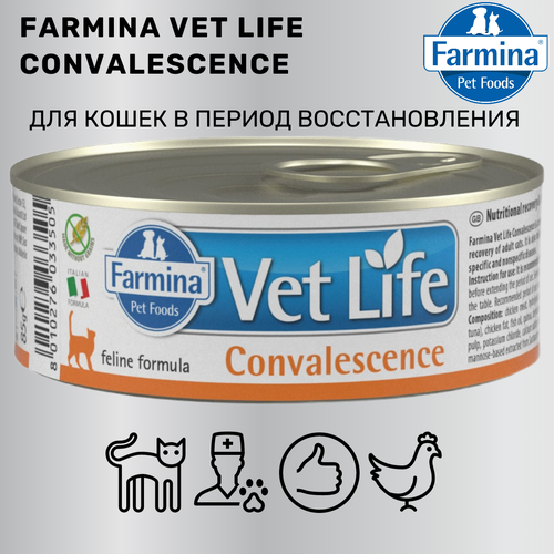 FARMINA 85гр Корм для кошек VET LIFE CONVALESCENCE в период выздоровления