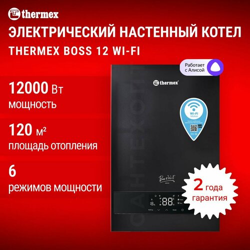Электрический настенный котел THERMEX Boss 12 Wi-Fi Black 43990₽