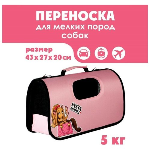 Сумка-переноска раскладная, каркасная Insta model 43x20x27 см фиксирующий ремень для кошек и собак zooone авто 20 2х43 см 43 см 2 см черный